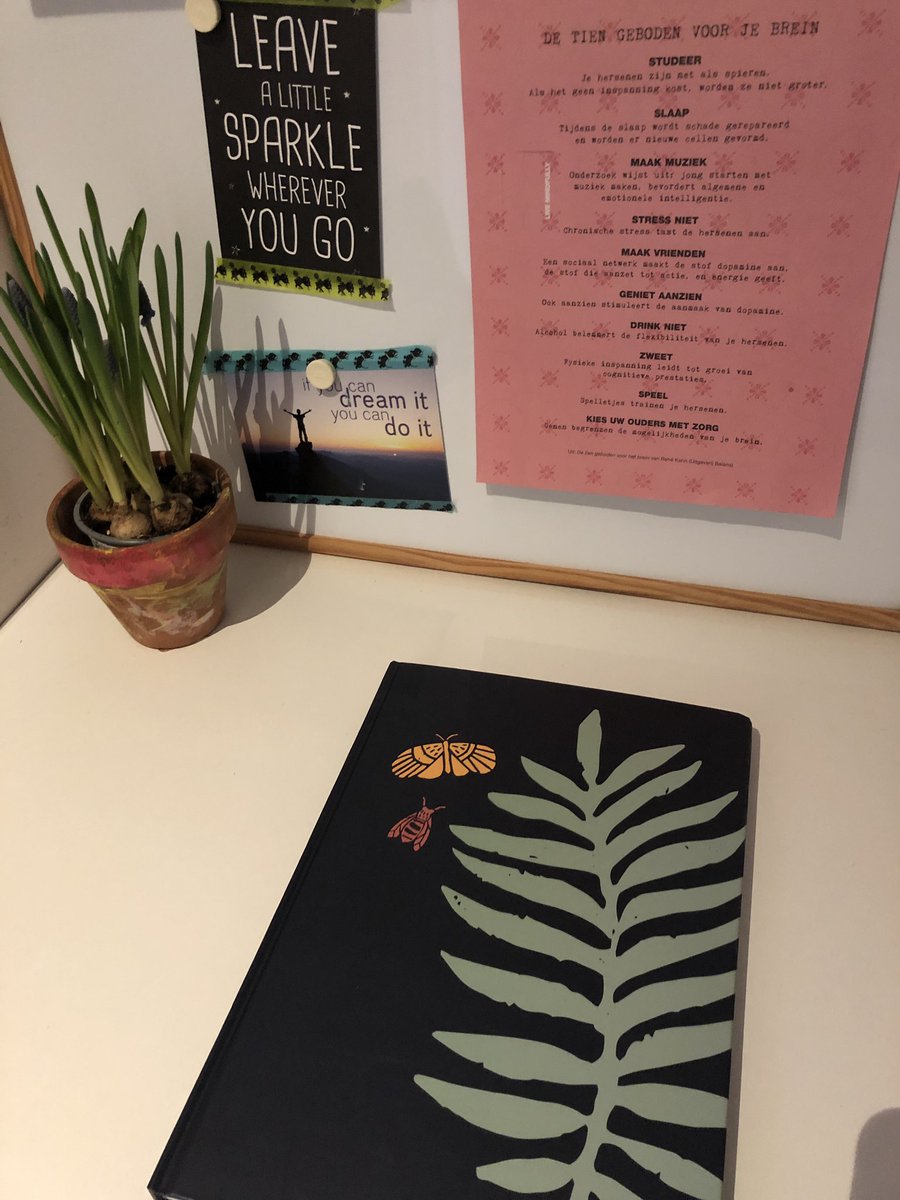 Dit boekje gaat geschiedenis schrijven :-) #sumconsultancy