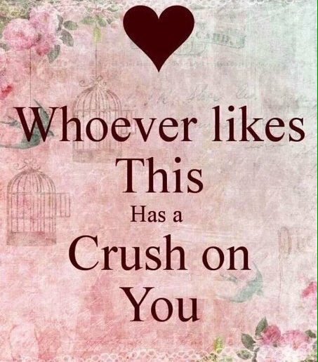 Octolancer's tweet image. ((Imma leave this here for Lance :3

"I hate you writer..."