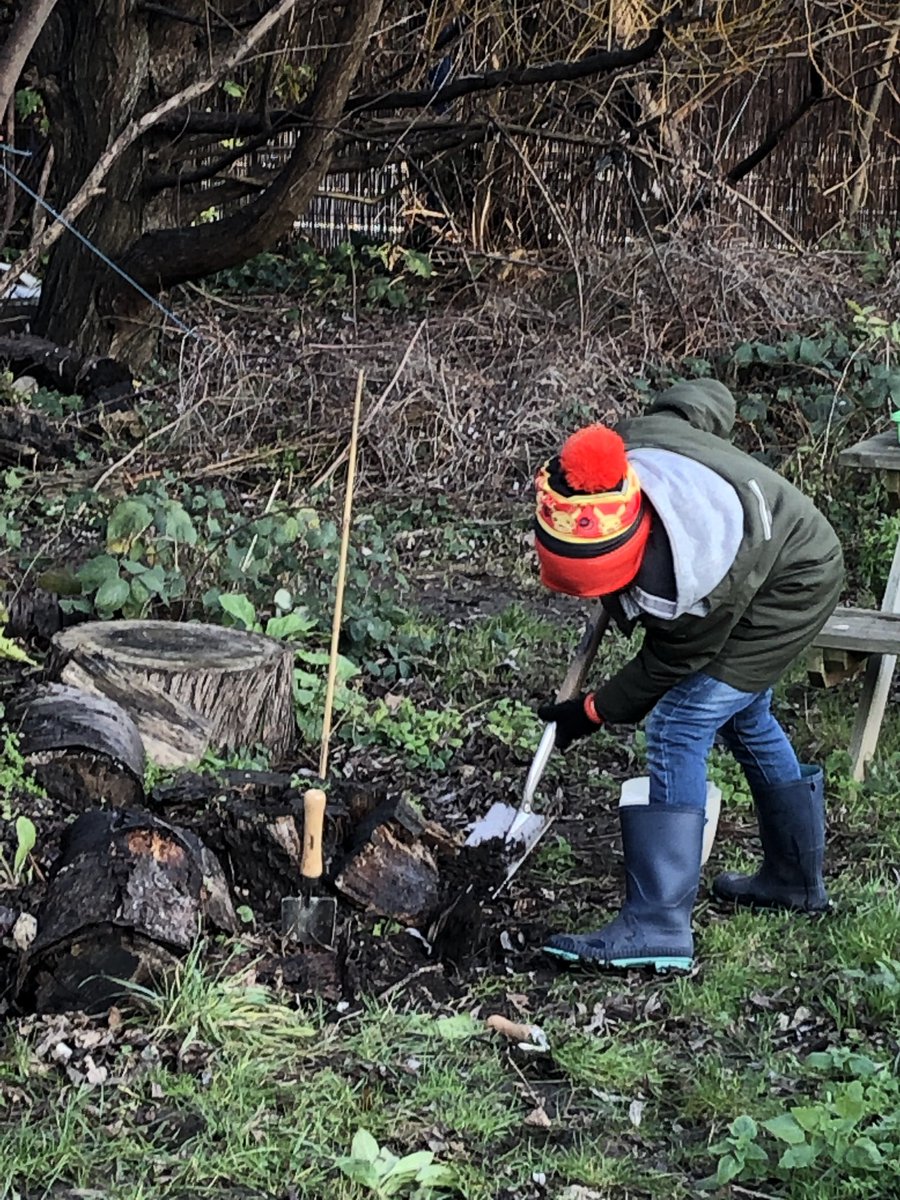 Christchurch School Community Garden tweet media