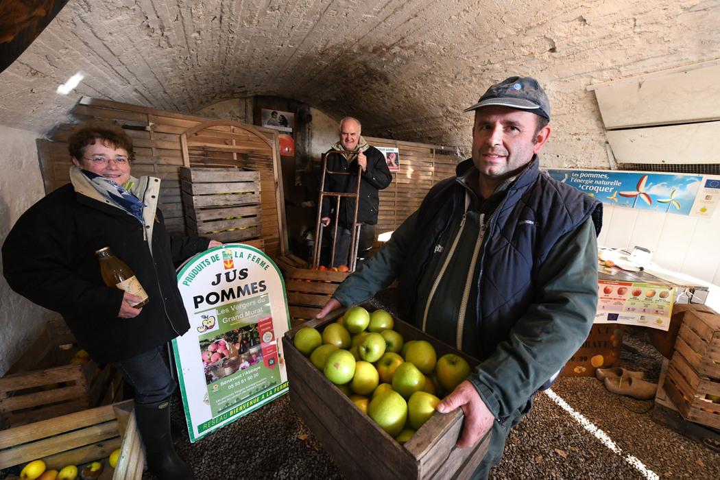 CatherinPerrot's tweet photo. Pendant un an, nous allons suivre le travail d'un producteur de pommes à Bénévent-L’Abbaye. Un nouveau cadre pour notre rubrique Terre à la Une @montagne_creuse #Creuse https://t.co/20Jv7dVMQV https://t.co/Dptb7e611Q