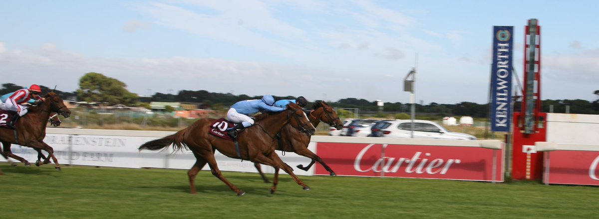 RacingGuru's tweet photo. Clouds Unfold ran on strongly to win the Grade 2 Cartier Stakes today at #Kennilworth #ItsARush #LQP2019
๐ธ @Thoroughpedia https://t.co/InoTUnv3Mn