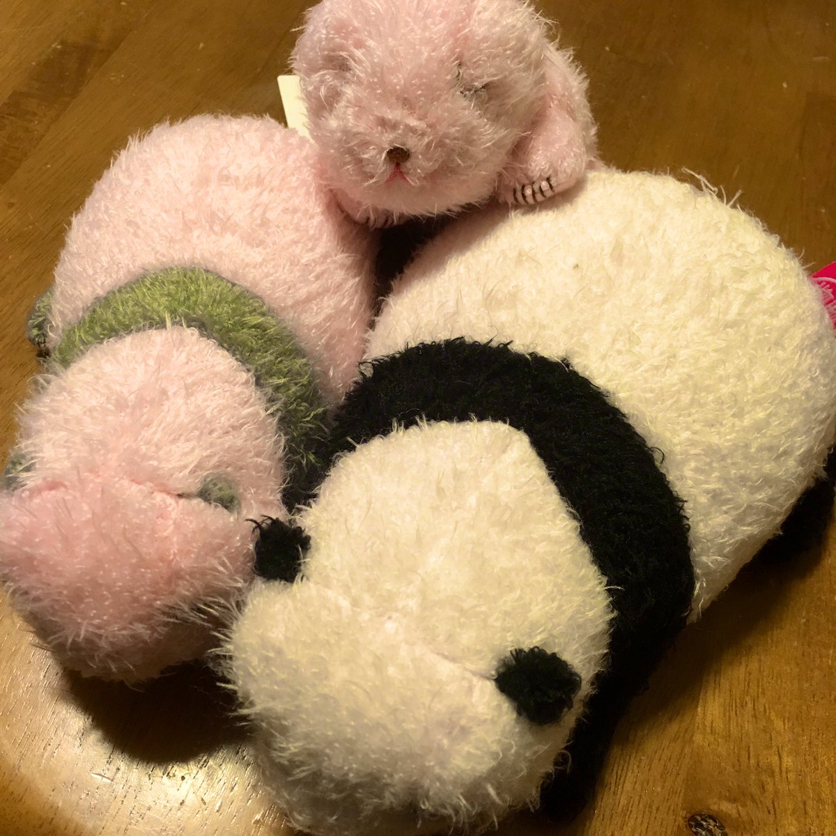 おとうふよう ओट फ य A Twitter ピンクピン太郎 ぬいぐるみコンプしました 恩賜上野動物園 上野動物園 シャンシャン 香香 おとうふよう ओट फ य A Twitter ピンクピン太郎 ぬいぐるみコンプしました 恩賜上野動物園 上野動物園 シャンシャン 香香