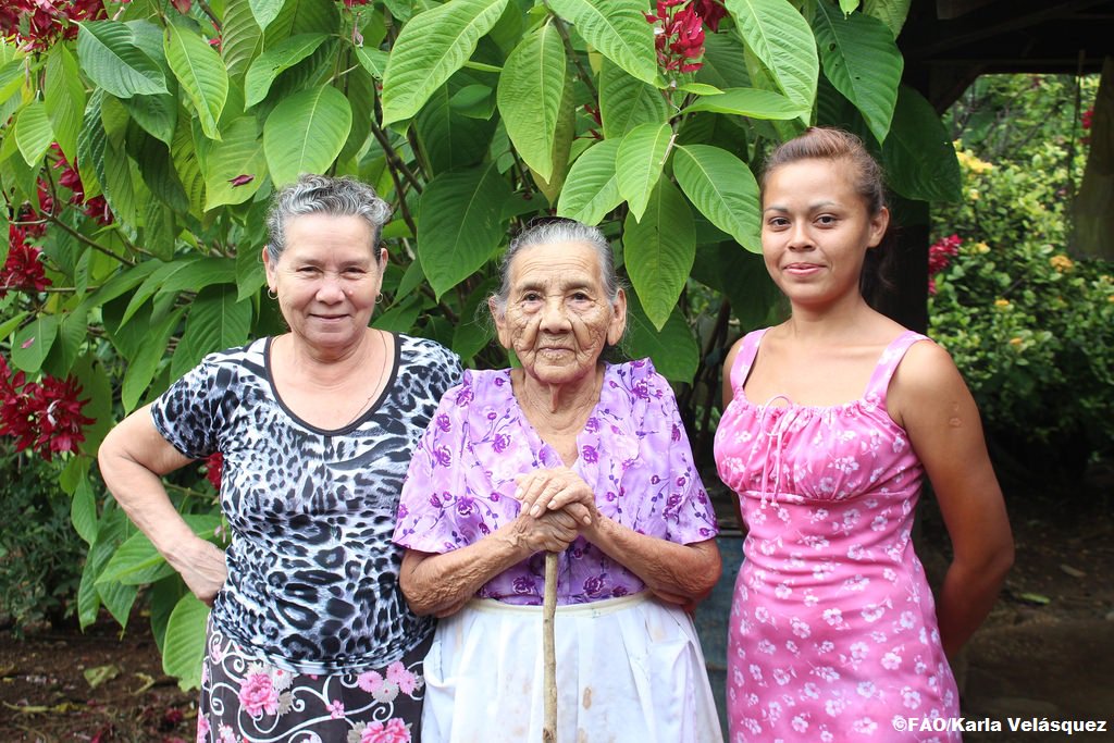 FAOenEspanol's tweet photo. 👩‍🌾#SabíasQue las mujeres son el 48% de la mano de obra agrícola en los países en desarrollo?

💪Cuando las #MujeresRurales tienen acceso equitativo a los recursos, los servicios y las oportunidades son la fuerza motriz contra el hambre.

➡️https://t.co/t9BS9zINIO #HambreCero https://t.co/8qMbXVIYcu