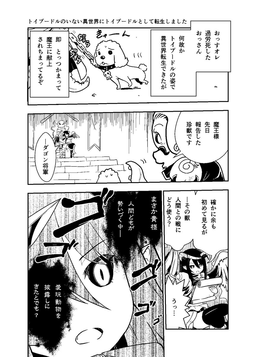 蜘蛛 です が なにか 漫画 蜘蛛ですが なにか 3