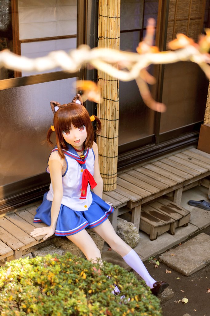 やすは アズキ ネコぱら Thanks To Tei To Ku Photos Eidori K ネコぱら Nekopara アズキ Azuki T Co Qxsj7sg6qw Twitter