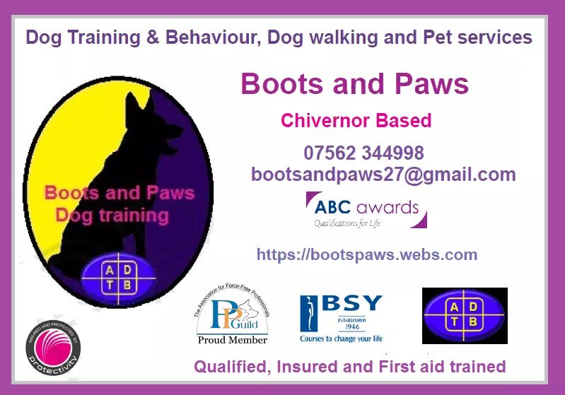 Sarah (@bootsandpaws27) on Twitter photo 