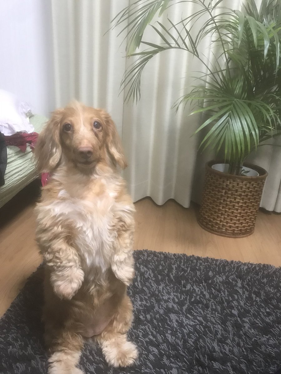 RaNCocyouran's tweet photo. 実家で誕生日会してもらぅ...36年目の冬
甥っ子、姪っ子も来てて、姪っ子からお手紙♡泣ける♡ https://t.co/AU8BrNqwHa