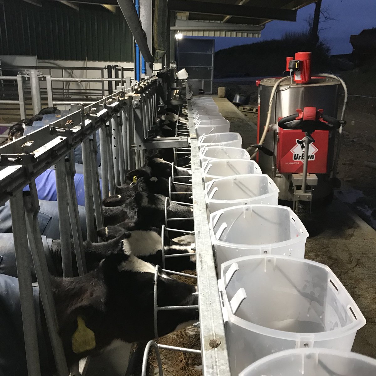 Hannah Vaughan tweet media