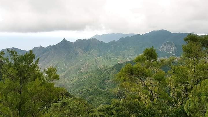 Hoy queremos contaros algo pero Twitter no nos deja poner tantos caracteres 😂😂😂 podéis verlo en nuestro Facebook   facebook.com/desafiocaserio…