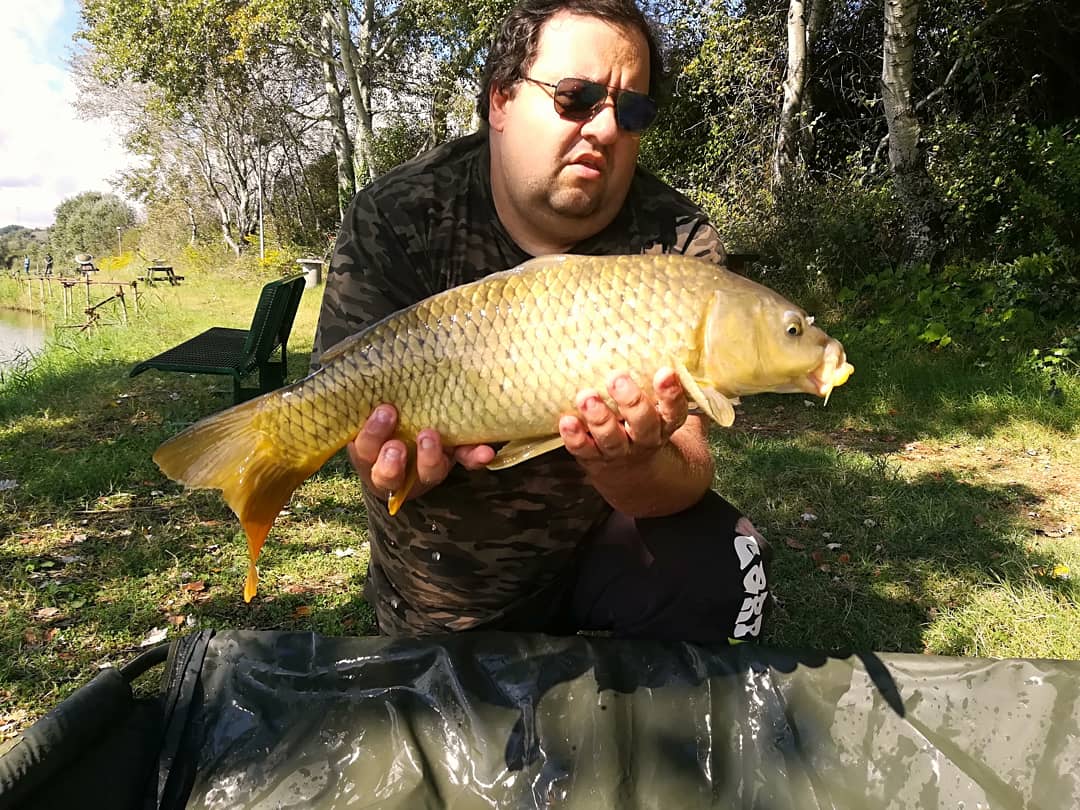 MirkoTomasiello's tweet photo. #carpzone https://t.co/wJJa3l4hXn