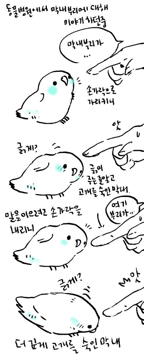 간호사분이 아니 긁는거 말고...하고 당황해 하셨다 
