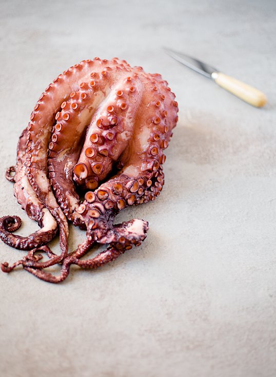 papamarmadrid's tweet photo. ¿Preparad@s para el #findesemana más especial del año? ¡Aún estas a tiempo de mejorarlo con productos frescos! ¿Dónde? ¡En #PapáMar!

#FelizViernes #PescaderíaMadrid #Pescado #ProductosFrescos #Fish #Fisher #Madrid #ProductosDeCalidad #Productosdetemporada https://t.co/hqfPWzyDUf