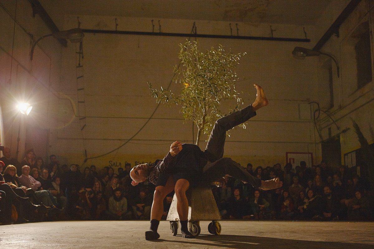 BIONICFESTIVAL's tweet photo. BIONIC FESTIVAL 2018 - EL ARTE DEL FUTURO https://t.co/rnkzsreP5O #ROLANDOSALAME #KATIAHUMENYUK #ARTE #BIHEMISFERICO #DANZABIONICA #BIONICDANCE @latabacalera @medioambientecm #danzaconarboles #bionicart #bioarte #SPAIN https://t.co/lPKOSFS9kX