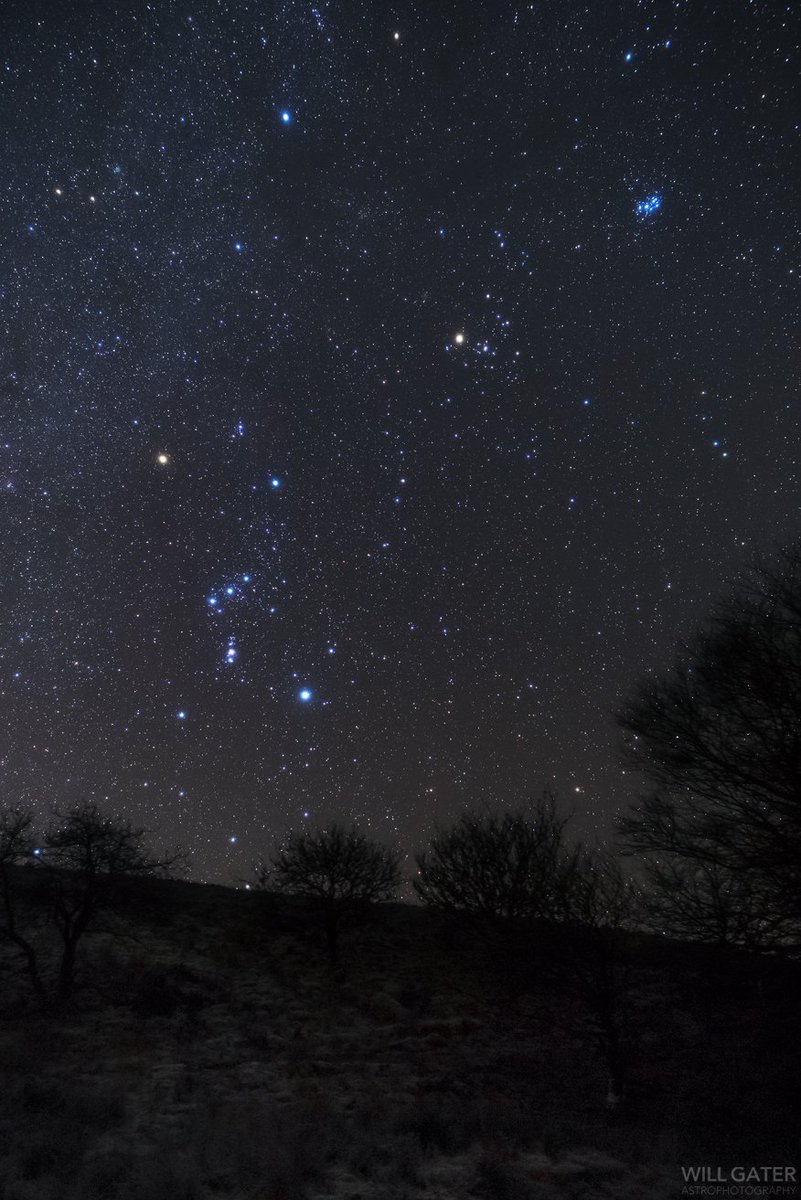 willgater's tweet photo. The winter constellations Orion &amp; Taurus shining over a frost-covered @ExmoorNP last night (you might need to click to embiggen the portrait pic). https://t.co/rh7puUtkT9 #astrophotography #Exmoor #darkskies https://t.co/reHzcZOvJw