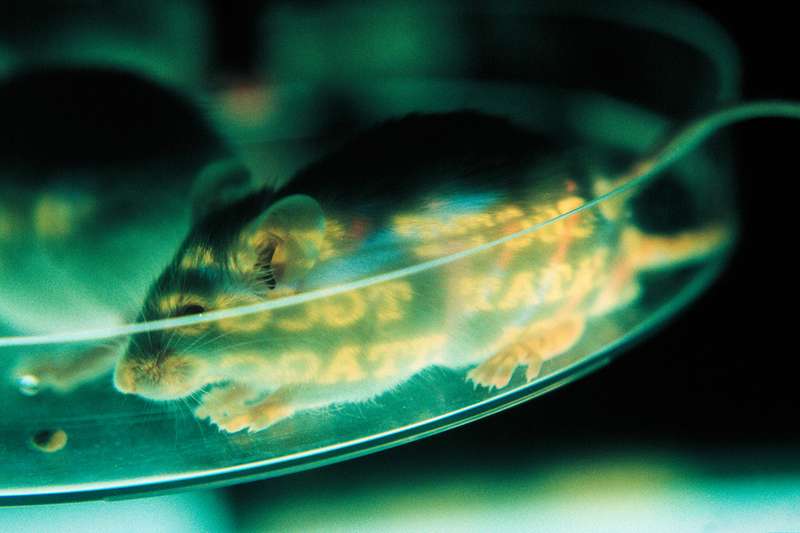 NanoGenics tweet media