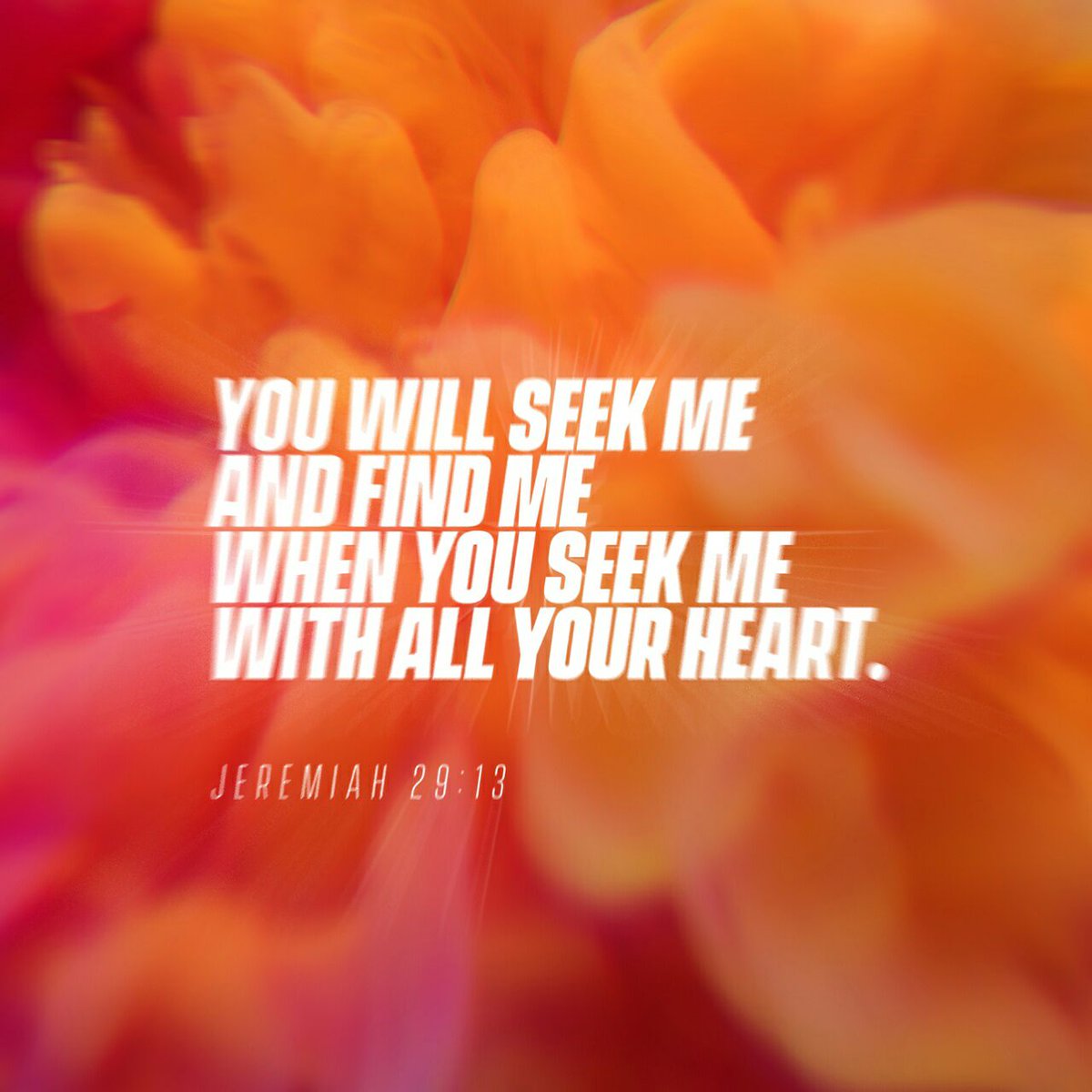 Spaz_Spastic's tweet photo. You will seek Me and find Me when you search for Me with all your heart.
Jeremiah 29:13 HCSB
https://t.co/onAkgvSFVj https://t.co/I2iv70e22h