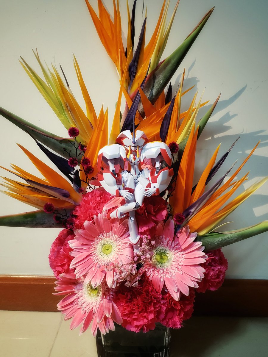 phamkimlien69's tweet photo. strelitzia 
 #toyphoto #toyphotogallery #toyphotography #toyartistry #toyphotogram #toynendoroid #toyartistry #figurephotographer #figure #figurephotography #figuretoy #figurenendoroid #bandai #robot魂 #zerotwo #strelitzia #DARLINGintheFRANXX https://t.co/0hlUqS99O0