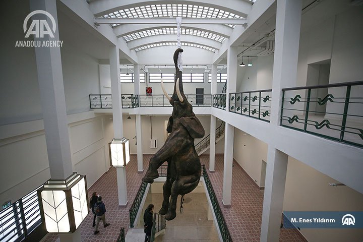 anadoluimages's tweet photo. The #artist #DanielFirman's #work titled as '#Loxodonta' is seen during the #exhibition named as #AtTheFactory10Artists10IndividualPractices at the #PilevneliMecidiyekoyArtGallery in #Istanbul #Turkey #AA https://t.co/L73AhEuq5P