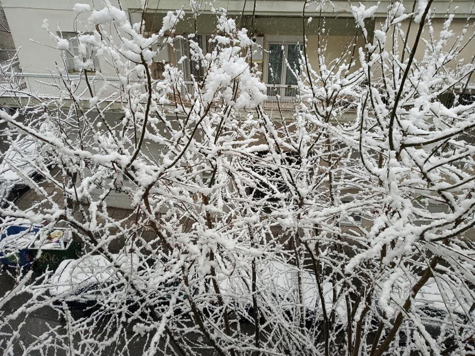 #Thessaloniki AHORA....ESTA NEVANDO.... 🙂🙃....