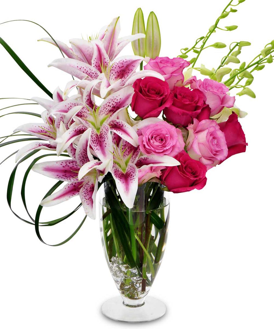 radebaughs's tweet photo. Our design team created this stunning floral masterpiece with gorgeous stargazer #lilies, hot pink #roses and seasonal greenery. All these blooms and stems are expertly nestled into a stylish glass vase. #BaltimoreStarlet #radebaughflorist #localitem https://t.co/BJtqLdRtb4 https://t.co/XPRWuhoGAD