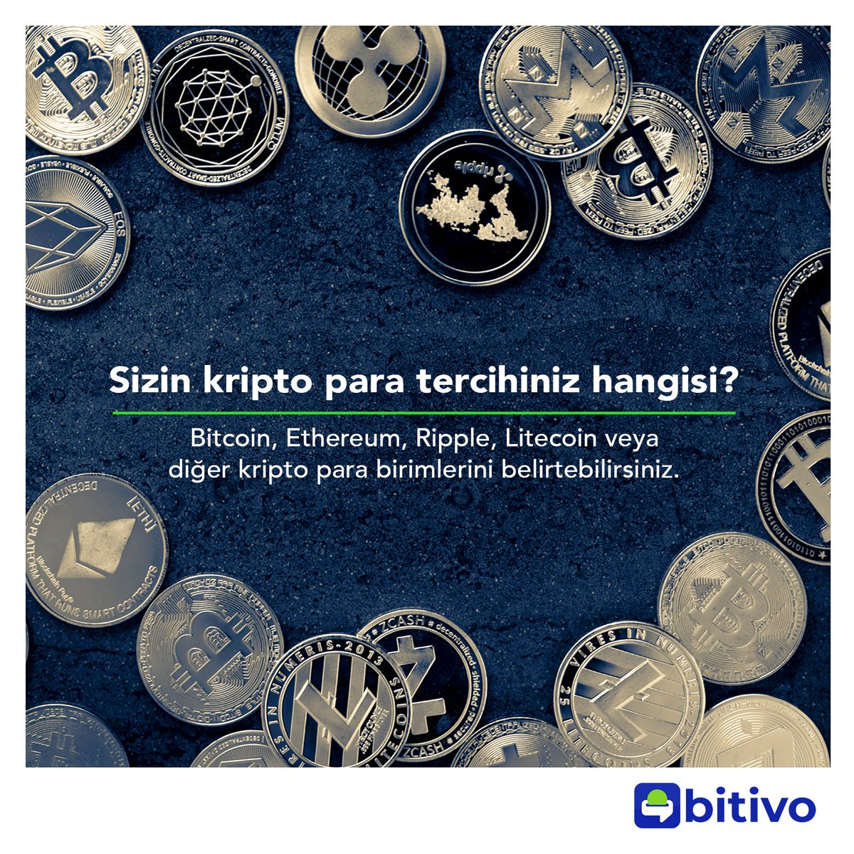bitivocom's tweet photo. Peki sizin kripto para tercihiniz hangisi?
#bitcoin #ethereum #ripple #litecoin https://t.co/dSIbQTHBWT