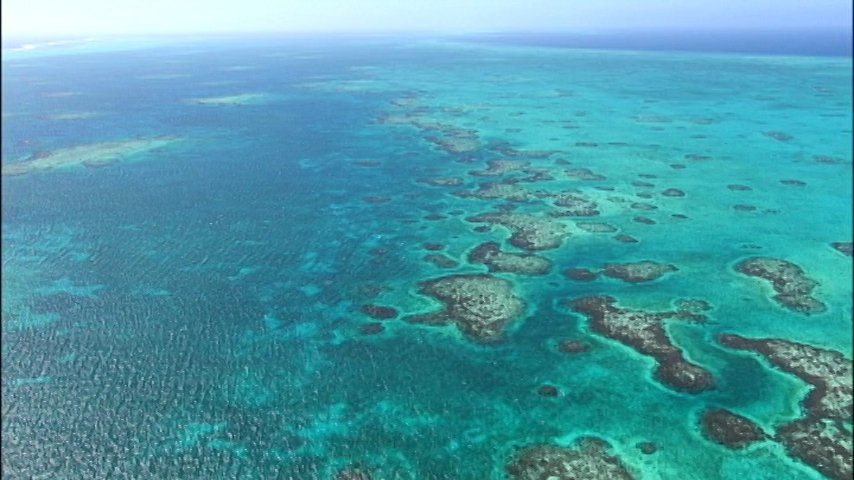 ট ইট র 世界遺産 中米 ユカタン半島の付け根にある国 ベリーズ 南北におよそ２５０キロ続く美しいバリアリーフが 世界遺産になっています 一年を通じて温暖なカリブの海は 世界有数の 珊瑚の海 でした １月６日 日 午後６時放送です 世界遺産
