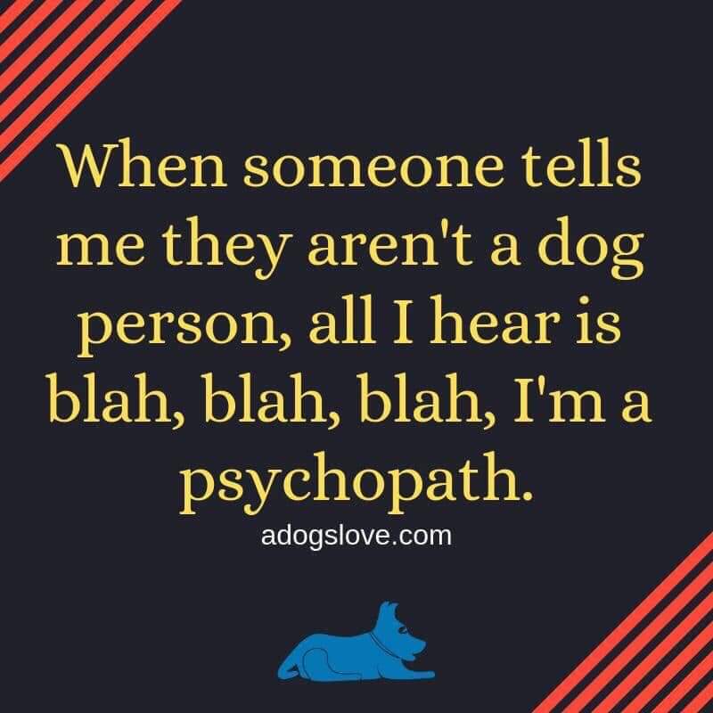 We've been quiet for a while as business has been booming. Now we're back with some. We've missed all of you  #FF  <a href="/RuffleSnuffle/">Ruffle Snuffle® Life with Pets</a> <a href="/dogbiznetwork/">Dog Business Network</a> <a href="/BizWonderland/">Katie|Business Wonderland</a> <a href="/MichelleSLT/">ScruffyLittleTerrier | Gifts for Dog Lovers</a> <a href="/JordansWhippets/">Fur & Fables</a> @smartdogsB <a href="/ThePawPostUk/">The Paw Post</a> @thedogslist