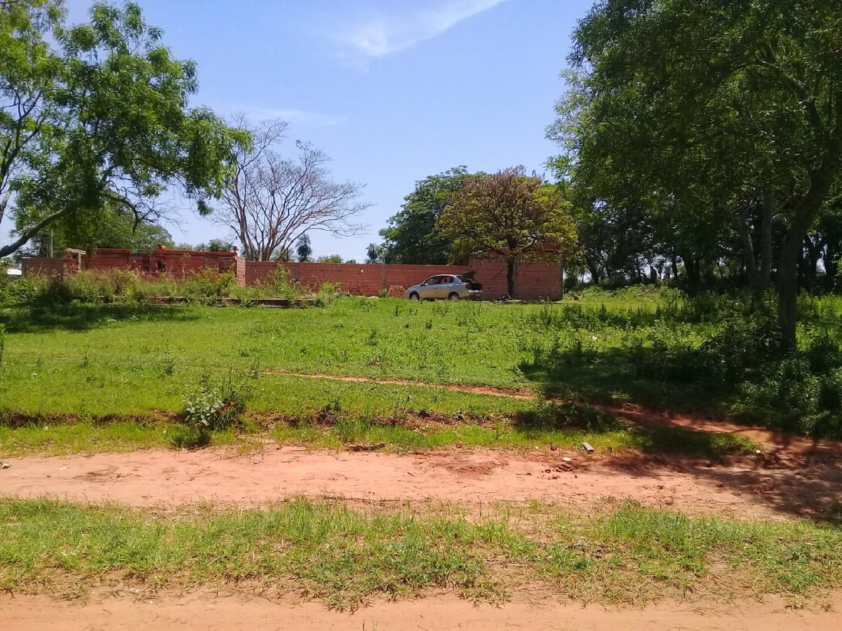 ColmanSusy's tweet image. Lote financiado de inmediata posesion sin reajuste...a plazo de 130meses iguales.
Mas informe 0984677602