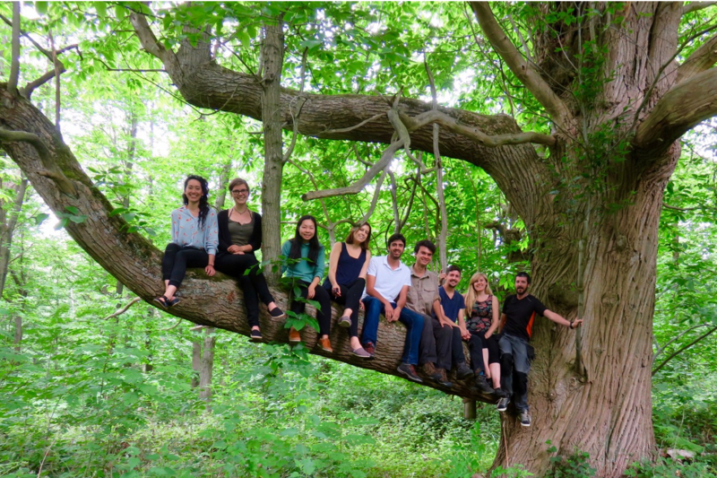 WythamTits's tweet photo. We are recruiting! Interested in working on the long-term study of Great &amp; Blue Tits here in Oxford this spring? Multiple field assistant positions available! https://t.co/ynOBBNK97o