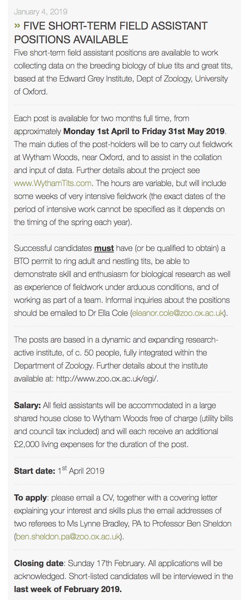 Wytham Tit Study (@wythamtits) on Twitter photo We are recruiting! Interested in working on the long-term study of Great & Blue Tits here in Oxford this spring? Multiple field assistant positions available! We are recruiting! Interested in working on the long-term study of Great & Blue Tits here in Oxford this spring? Multiple field assistant positions available!