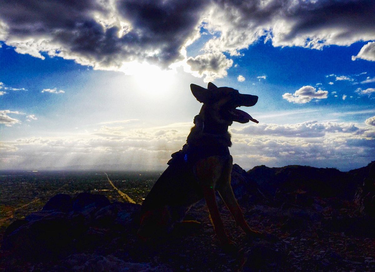 MRitland's tweet photo. Nothing like a nice hike with the dog to both get in a workout for you &amp; the dog, but to clear your mind &amp; enjoy life!
Running, leisurely walks, hiking, what do you like to do with your dog for both fun and exercise?
Go to - https://t.co/0x3sHZUuND enter code NEWYEAR for 50% off https://t.co/zcHEp9oXPW