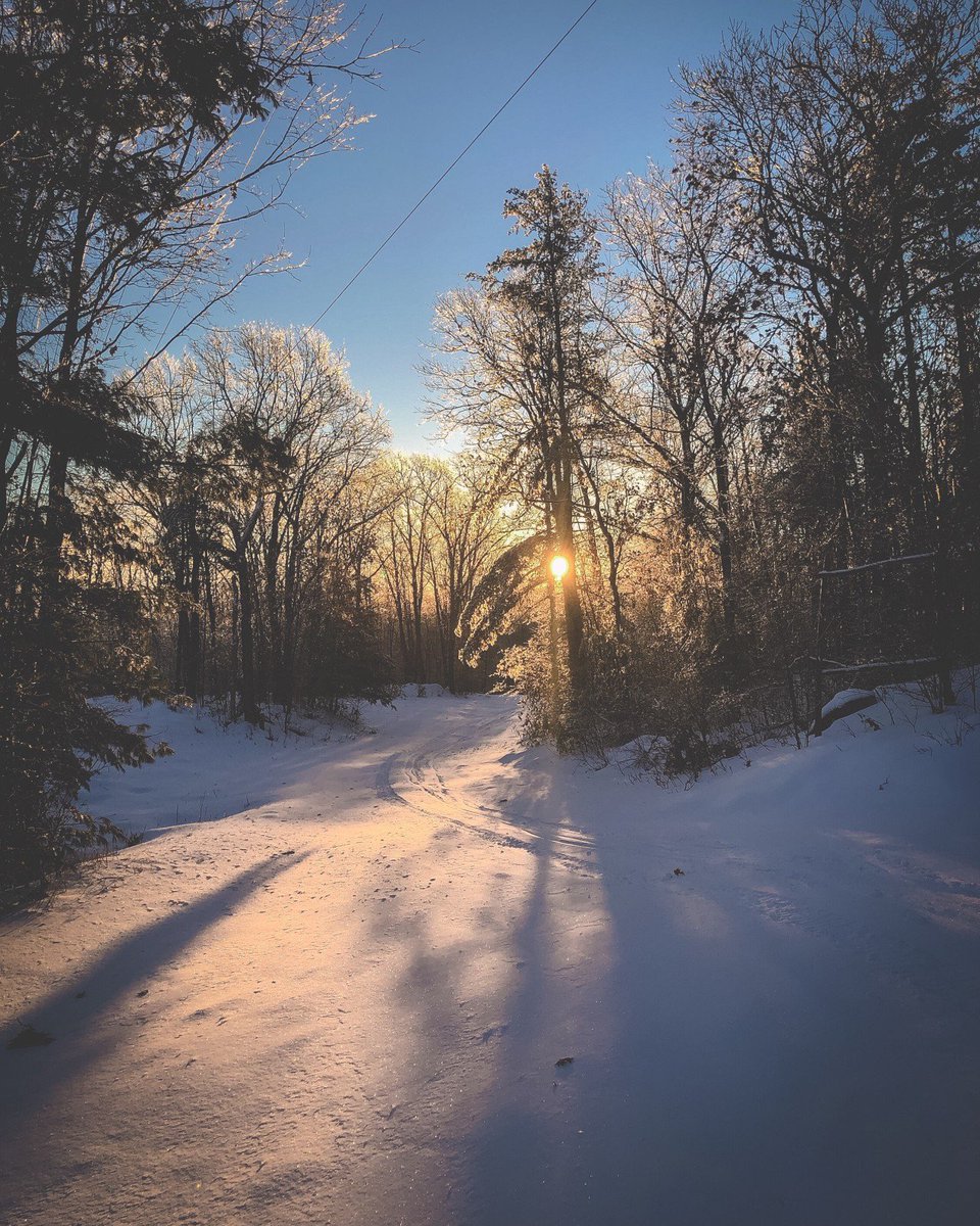 Mount Pakenham tweet media