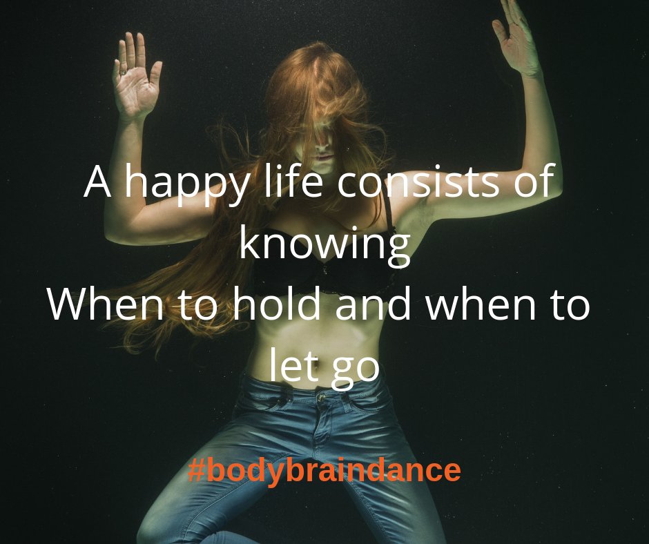 BodyBrainDance tweet media