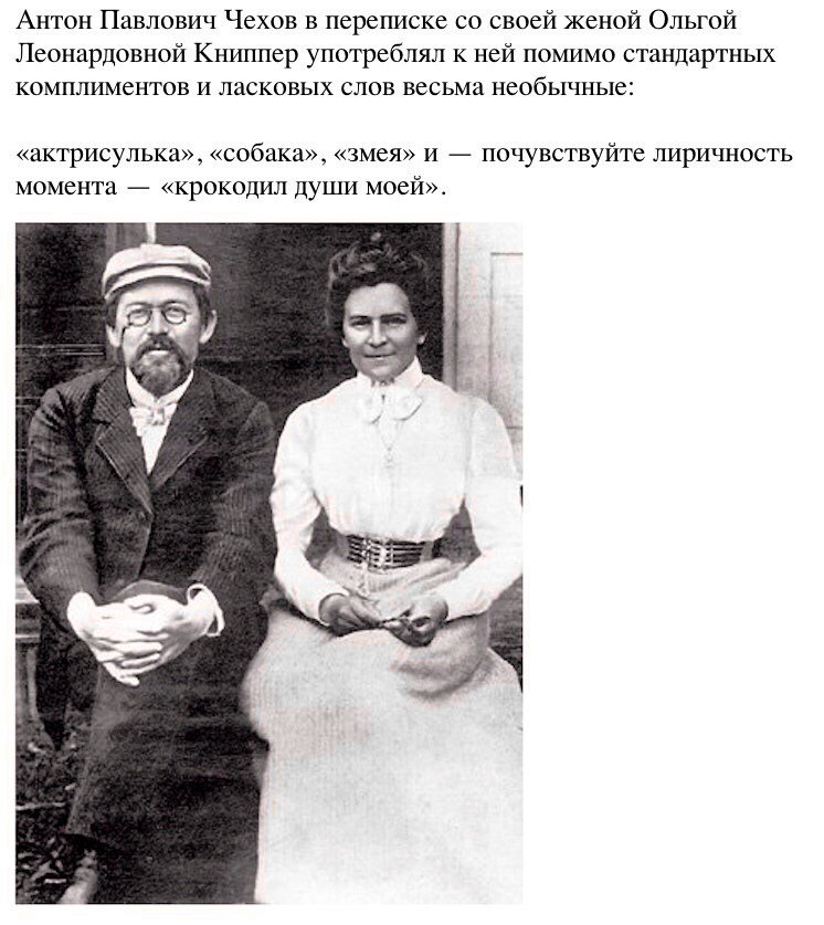 Называет первую жену своей женой. Как Чехов называл жену. Как звали жену Чехова Антона Павловича.