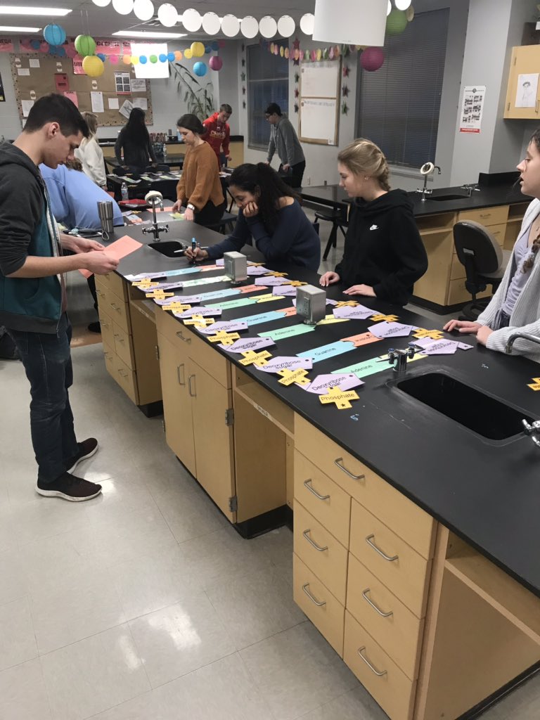Racing to review #DNA. #ibbio