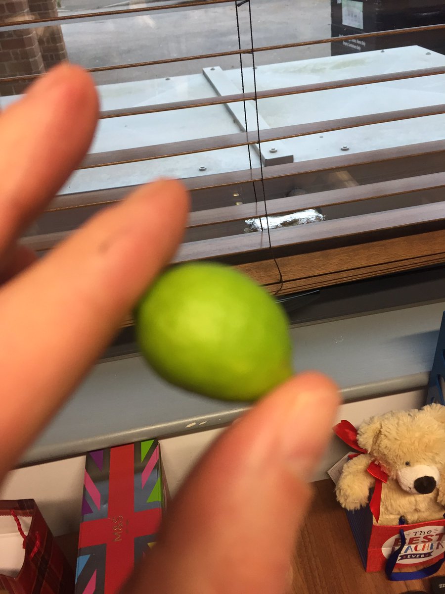 Update...don’t believe everything you read or see! Here’s the lime from a different perspective...always gather the facts don’t just assume