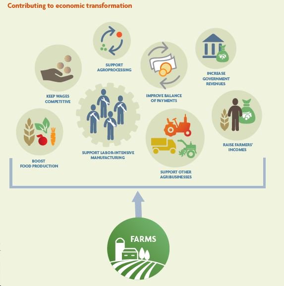 AcetforAfrica's tweet photo. How do farms contribute to economic transformation? Read more on this in the #ATR2017: https://t.co/l9cJWzLzZF https://t.co/OuVE7mqDDl