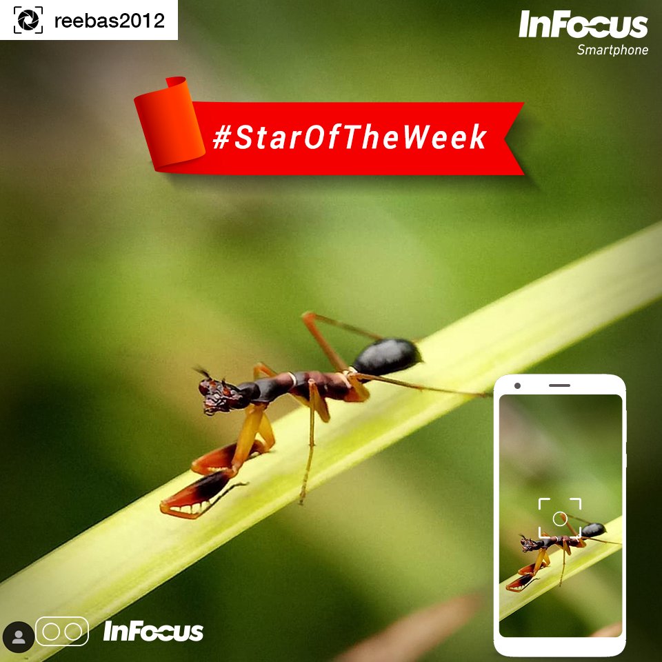 InFocus_IN's tweet image. Captured a lot more than photograph with #Vision3Pro
Congrats to @reebas2012 for becoming #StarOfInFocus in 1st week of the 2019. 
Share whatever you love to capture with us, stand a chance to become #InFocus #StarOfTheWeek