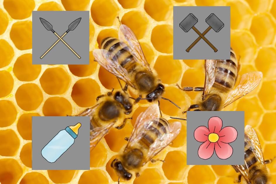 atainmentstudio's tweet photo. 🐝 BeeFact #4 🐝

A female worker bee lives about 35-45 days. 📅
In this time there are 4 different professions for it to take. These professions are also present in our game. 🍼🛠️⚔️🌼
More about this in the upcoming weeks... 

Source: https://t.co/PYjmJEtRZz

#BeeFacts #BBB https://t.co/PhlbA2EA37