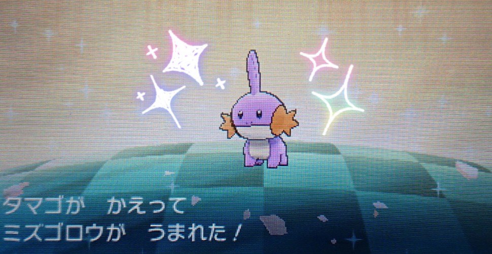 エルの色粘り Twitter