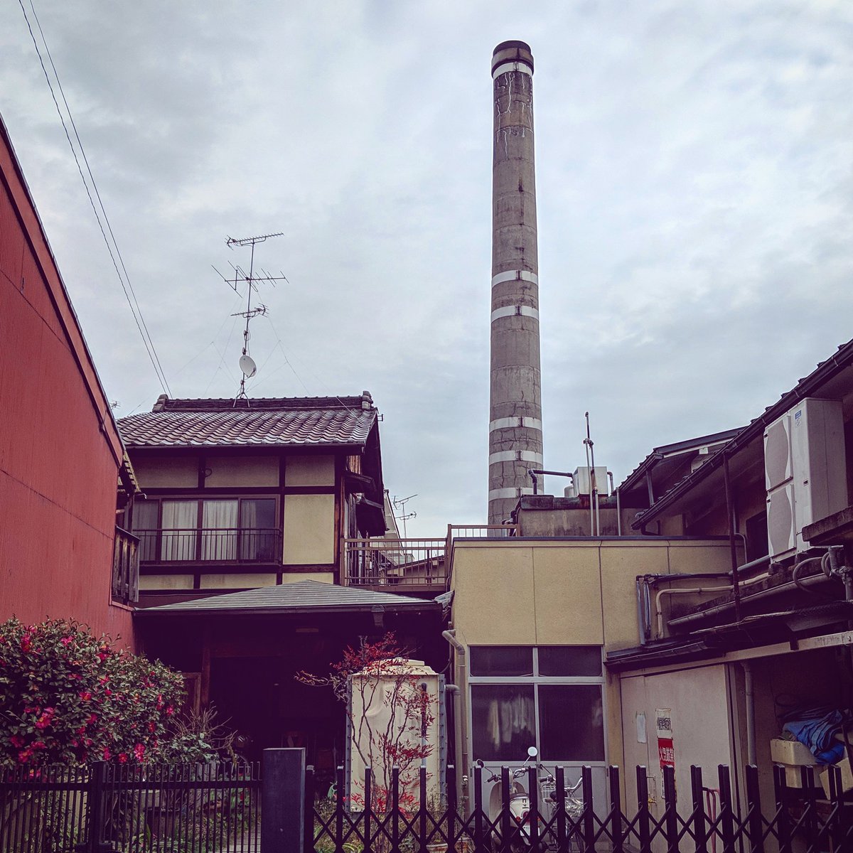 Neeslow's tweet photo. #camerarollcleanup #japan https://t.co/ONczgiNShF