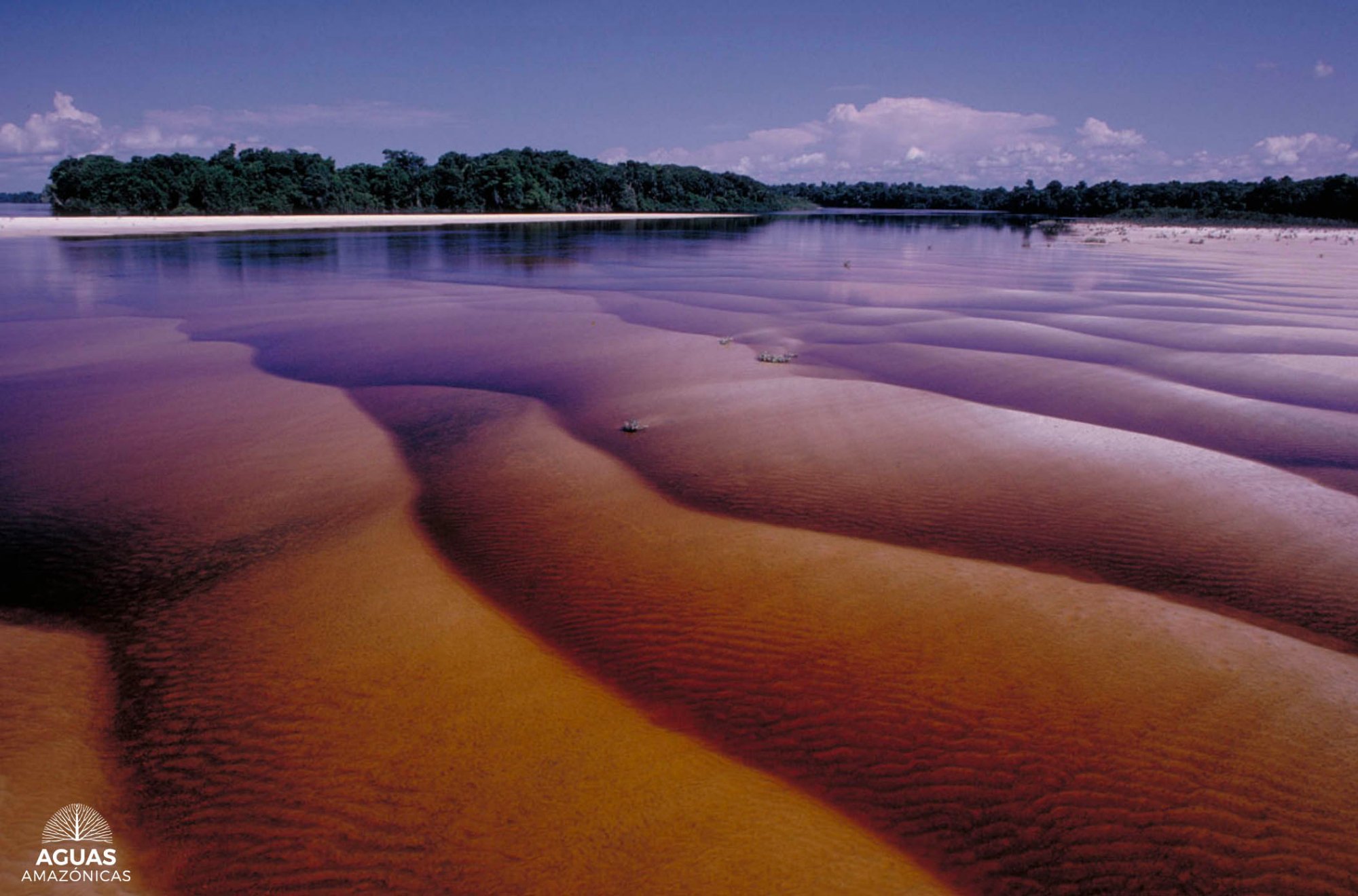Цвет воды в Амазонке