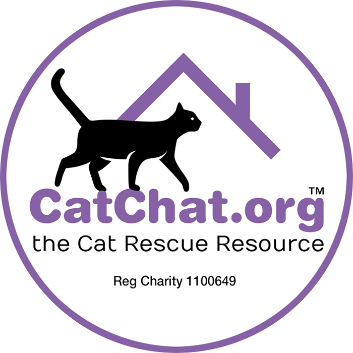 KittyCollars's tweet photo. Congratulations to @catchatcharity for saving more than
10,000 lives last year! Cat Chat encourages people to adopt rather than buy,
and helps rescue centres find more homes for the cats in their care. Cutie pie
alert at https://t.co/8Irmfiar9Y https://t.co/2OLpQyDcSr
