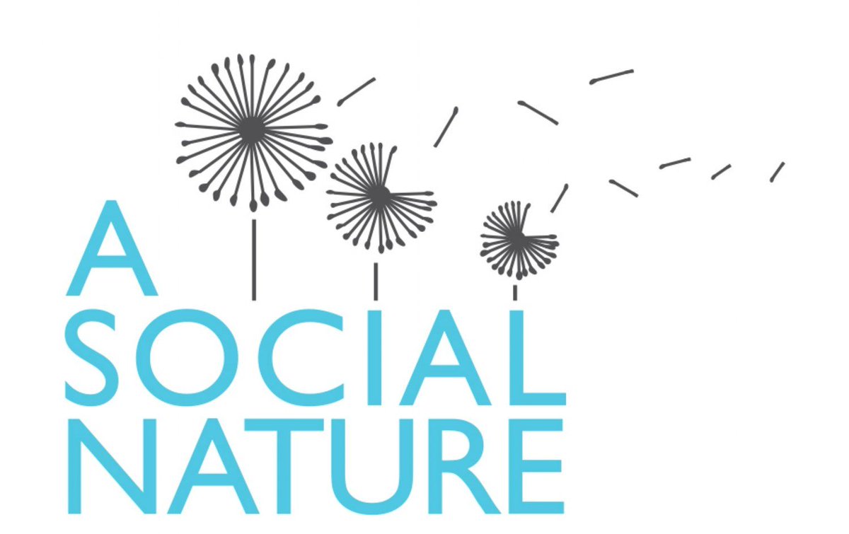 asocialnature's tweet image. New year, new website! I'm super-excited to be sending my website into the world today.. a new home for my blog and my social media services. Check it out! #website #new #blog #socialmedia buff.ly/2CQP2HN