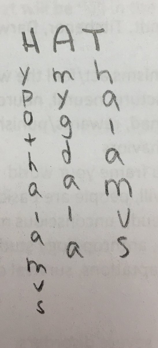 hepler22's tweet image. #psychforall @Habes59 Limbic system acrostic