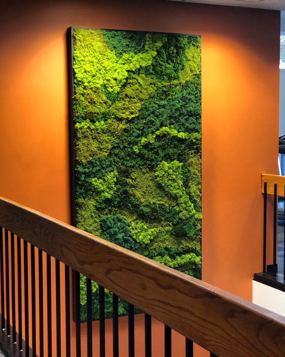 RaimondiHG's tweet photo. Beautiful new Moss Wall install!
#greenplants #indoorlandscape #bergencounty #newjersey #nyc #outdoorlandscape #sustainable #LEED #landscapedesign #weloveplants #greenery #plantlife #picoftheday #plantlife #greentrends #greenwalls #gogreen #WELLBuildings #mosswall #workofart https://t.co/oEvXcsN9hN