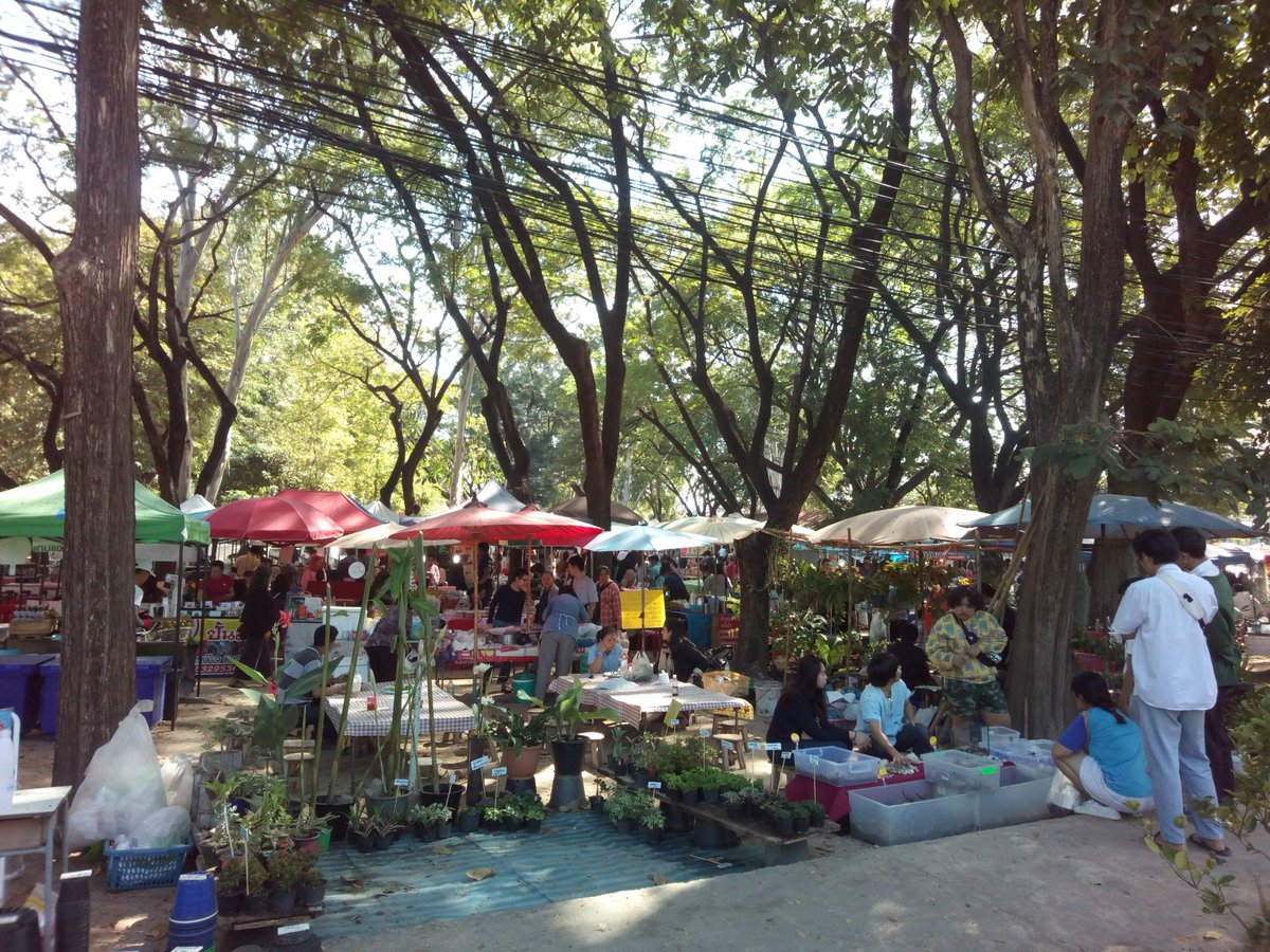 ManoraThaiApp's tweet photo. "กาดโก้งโค้ง คณะเกษตรฯ มอชอ"
"Kad-Kong-Kowang" 
On Thursday&amp;Friday of the first week each month
Closed to Doi-kham royal project shop of Chiang Mai University
@Chiang Mai,Thailand

#communitybasedtourism #thaivisaservices #thaivisaimmigration #thaivisahelp #thaivisaservice #visa https://t.co/3dMjqZHKeC