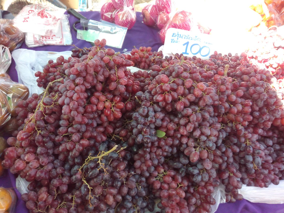ManoraThaiApp's tweet photo. "กาดโก้งโค้ง คณะเกษตรฯ มอชอ"
"Kad-Kong-Kowang" 
On Thursday&amp;Friday of the first week each month
Closed to Doi-kham royal project shop of Chiang Mai University
@Chiang Mai,Thailand

#communitybasedtourism #thaivisaservices #thaivisaimmigration #thaivisahelp #thaivisaservice #visa https://t.co/3dMjqZHKeC