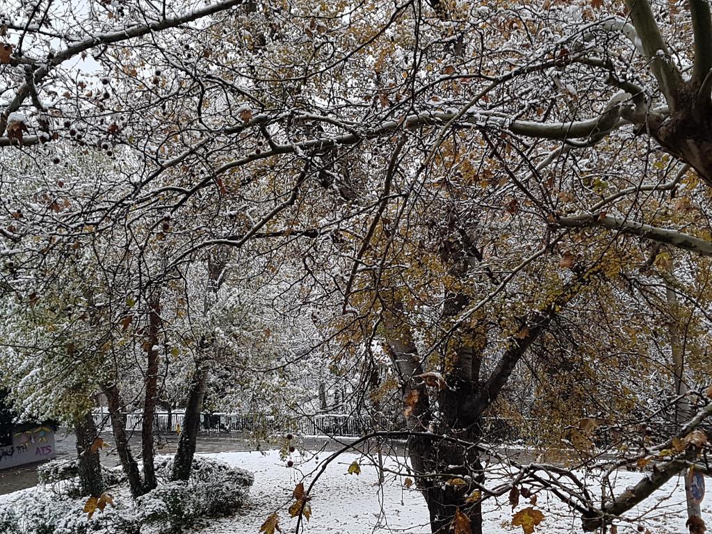 PantelisAng's tweet image. #homeview #Thessaloniki #now #snow