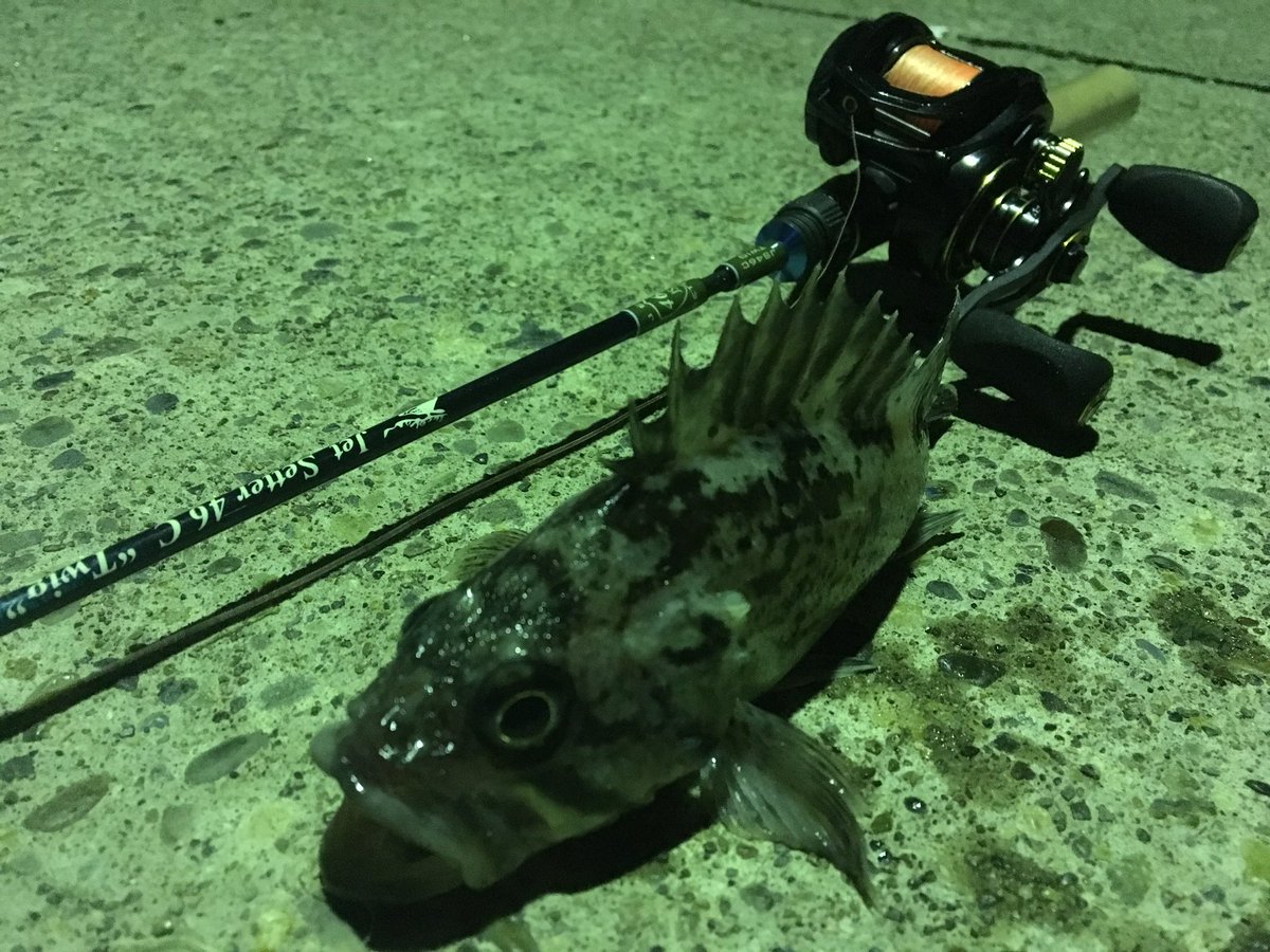 Jet Slow JetSetter 71S | Fishing Tackle BLUE MARLIN ジェット